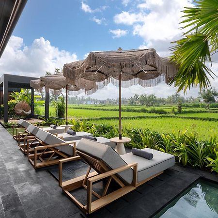 Villa Black Pearl By Balisuperhost Ubud Exterior foto