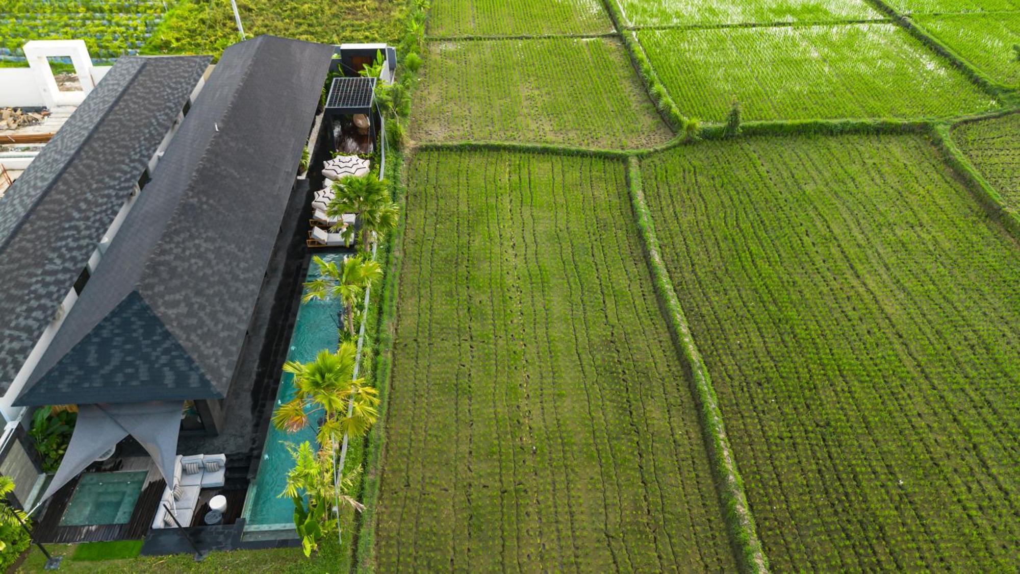 Villa Black Pearl By Balisuperhost Ubud Exterior foto